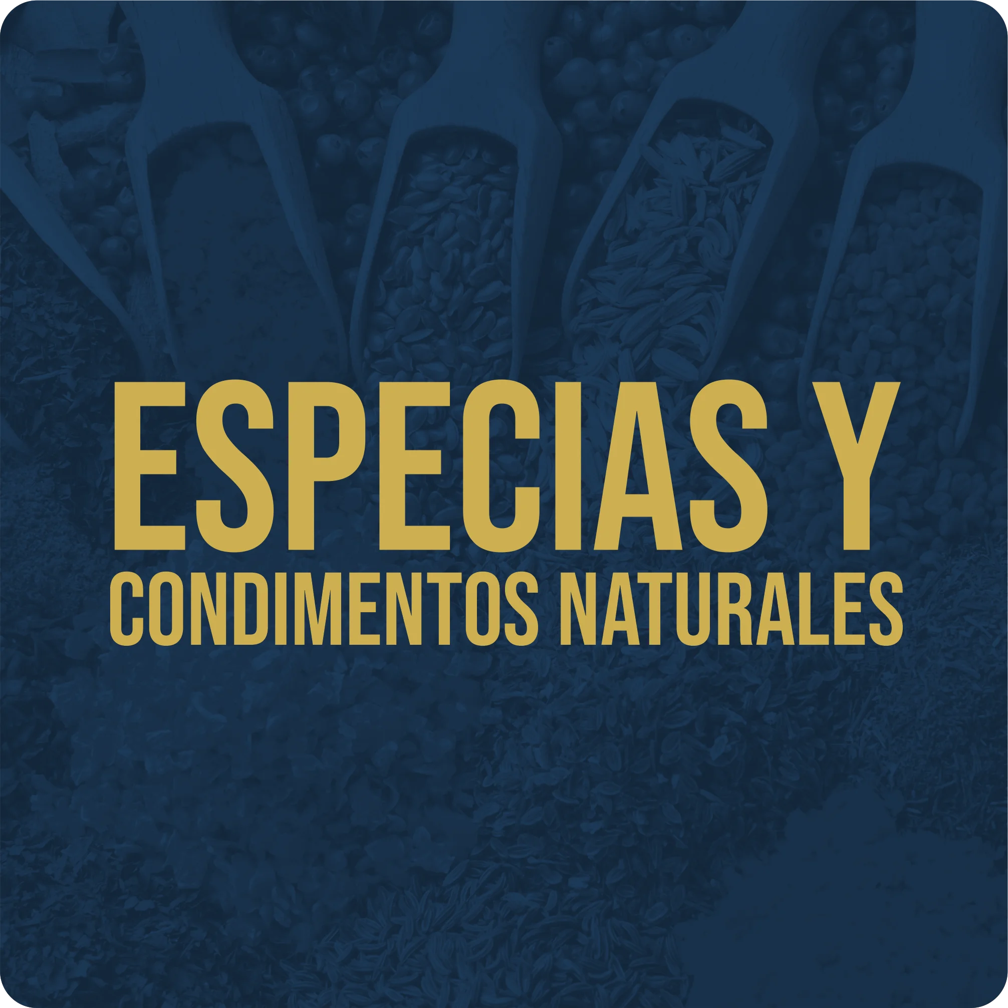 Especias y condimentos naturales 