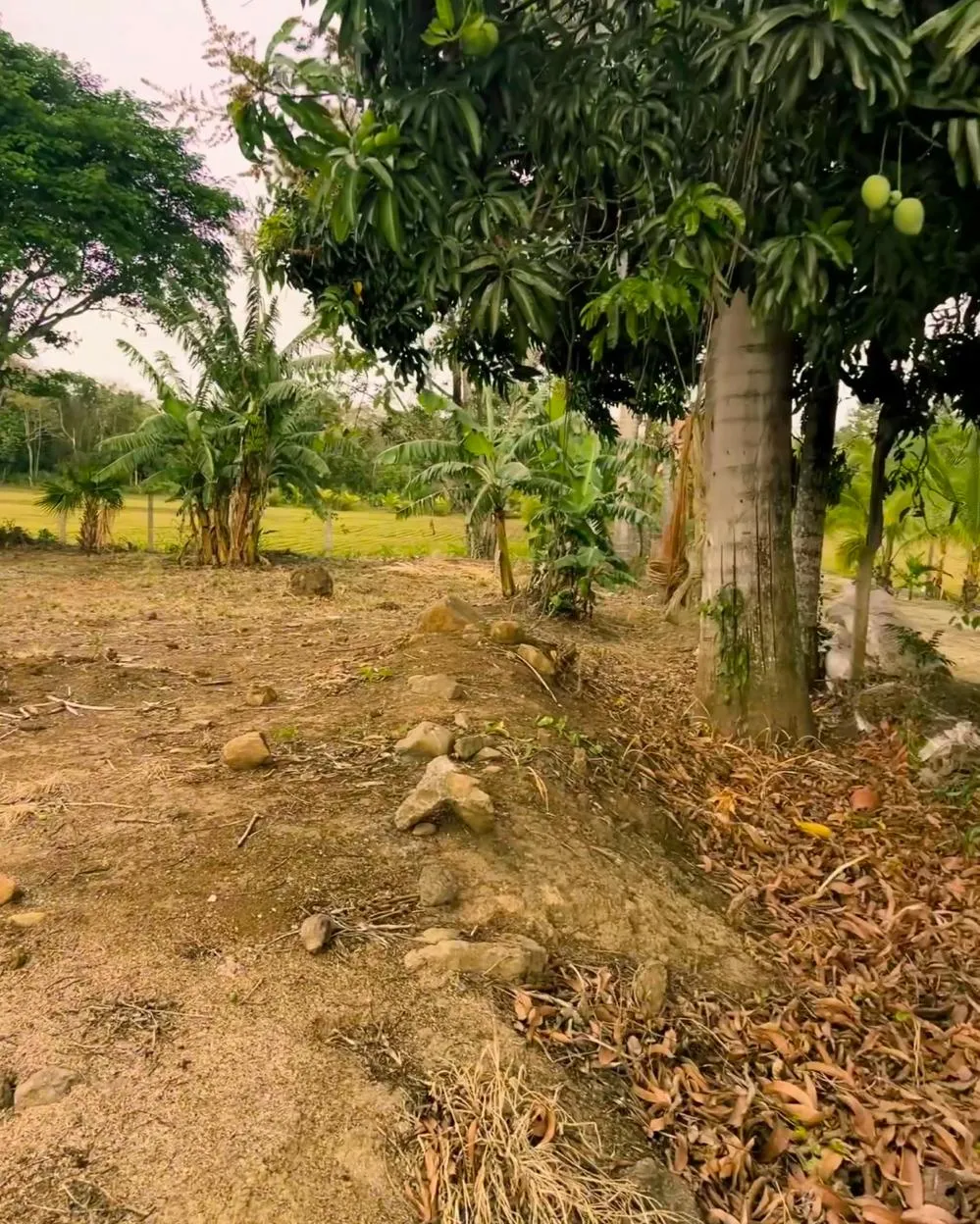 Lot Of Land in La Garita, Alajuela – Nature and Potential for Your Life Project 3,071 m2 - image 2