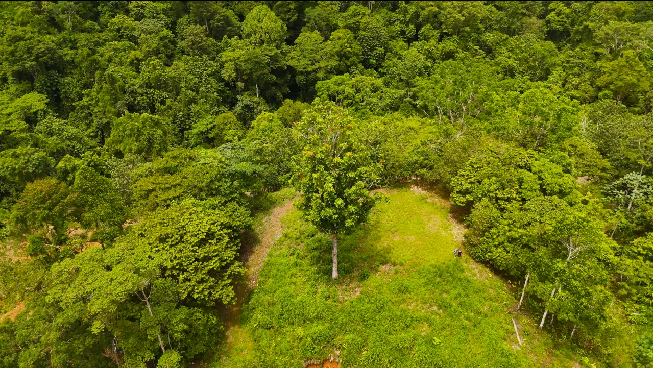 GULF VIEW PROPERTY IN PUERTO JIMENEZ, COSTA RICA - image 12