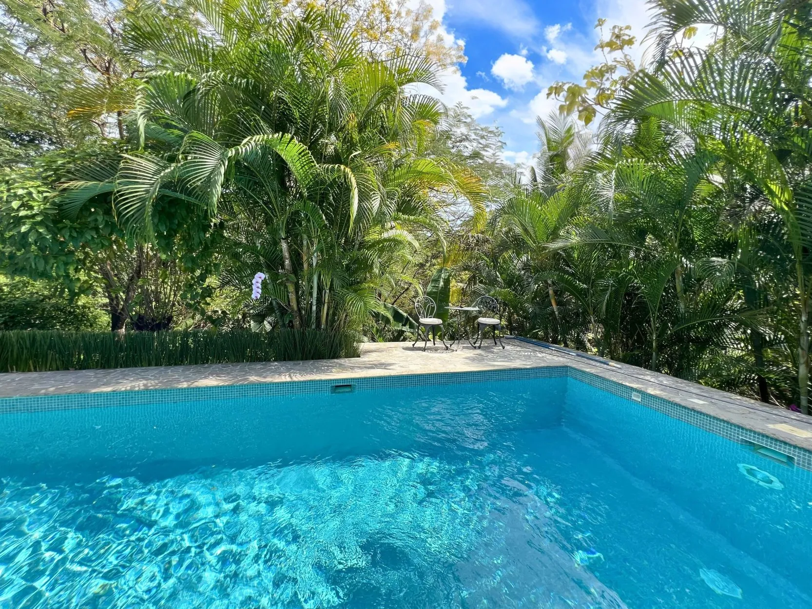 Villa Palma Royal Exclusive Private Estate with Modern Luxury and Natural Charm with horse stables in Las Delicias Santa Teresa - image 7