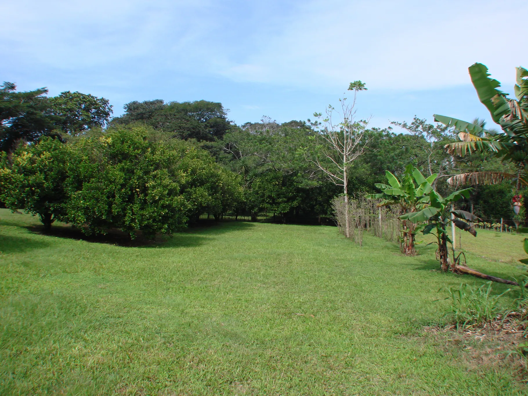 Home construction site property in Cuidad Colón - Lot for sale - image 7