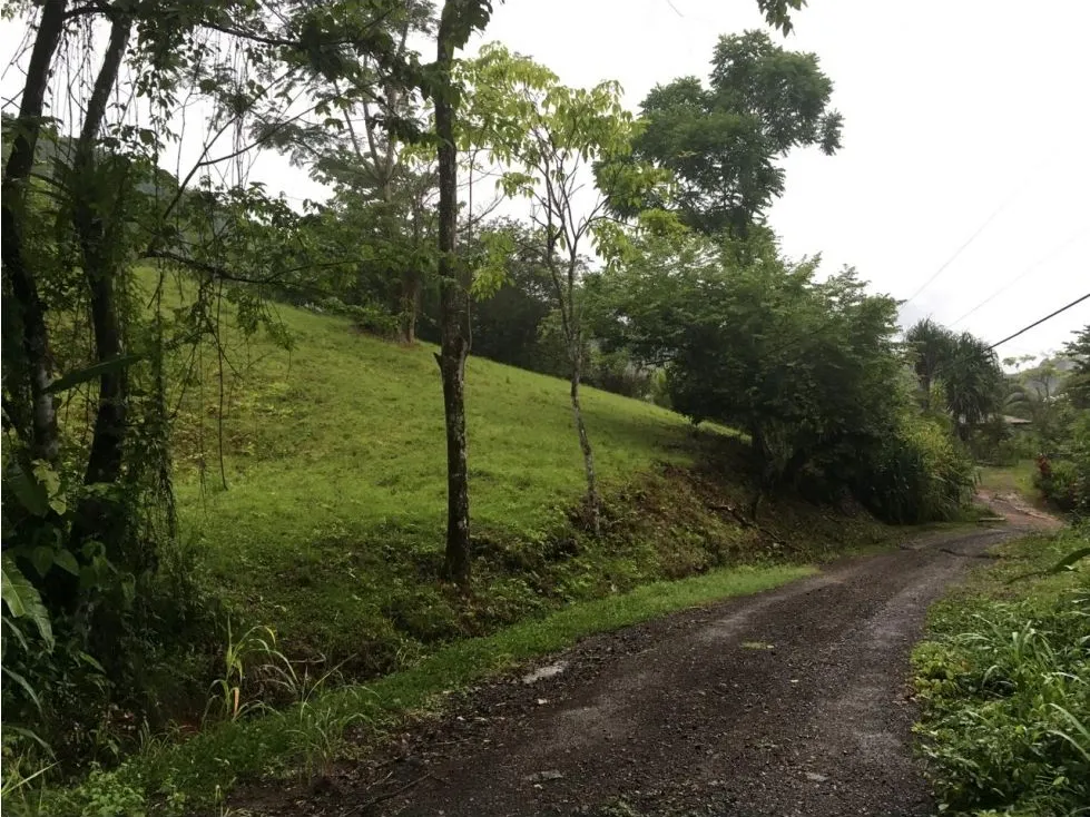  Great Opportunity to Buy Your Lot Of Land In Playa Hermosa, Jaco - image 3