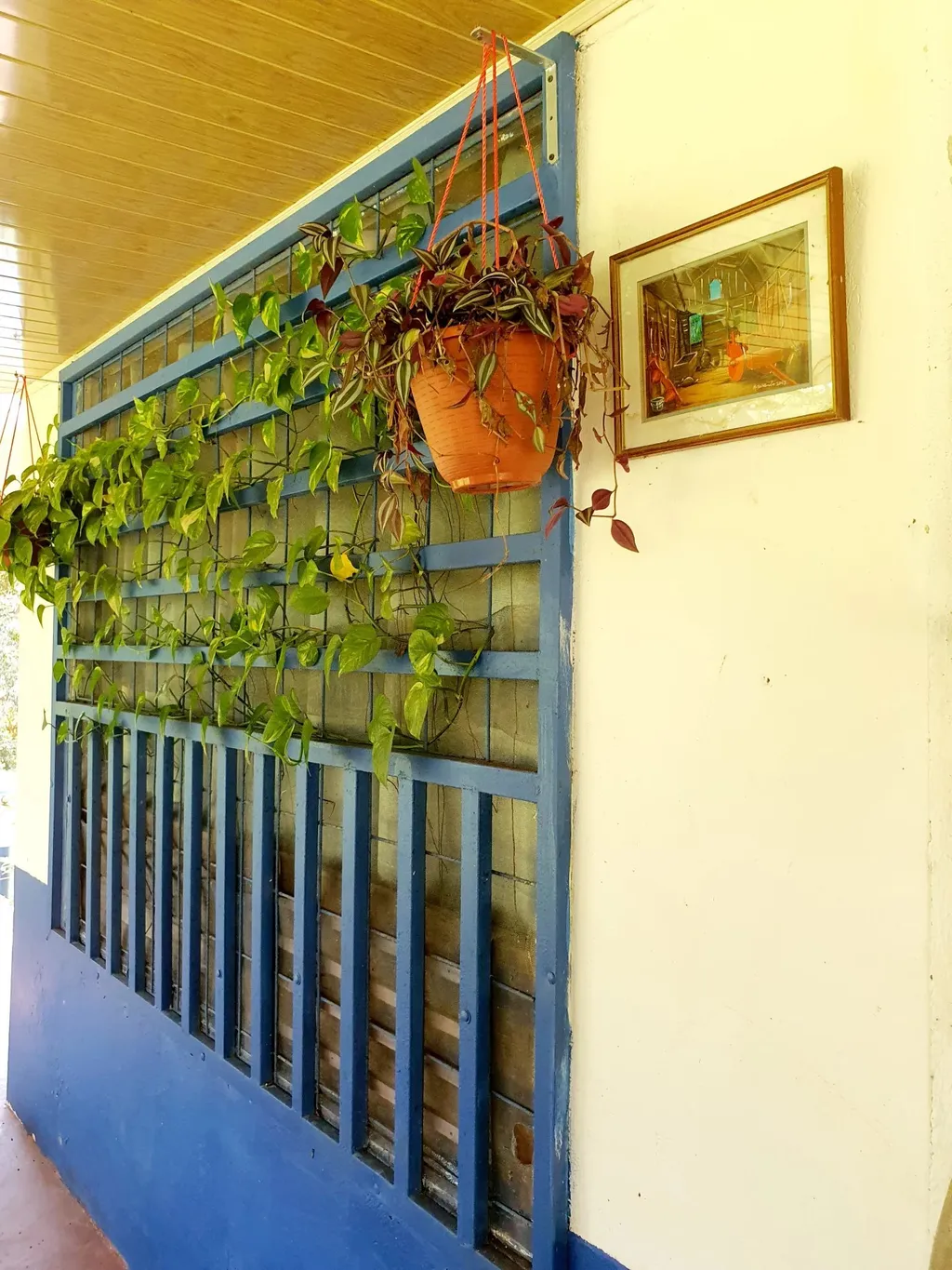 Land to develop a country lifestyle! - image 3