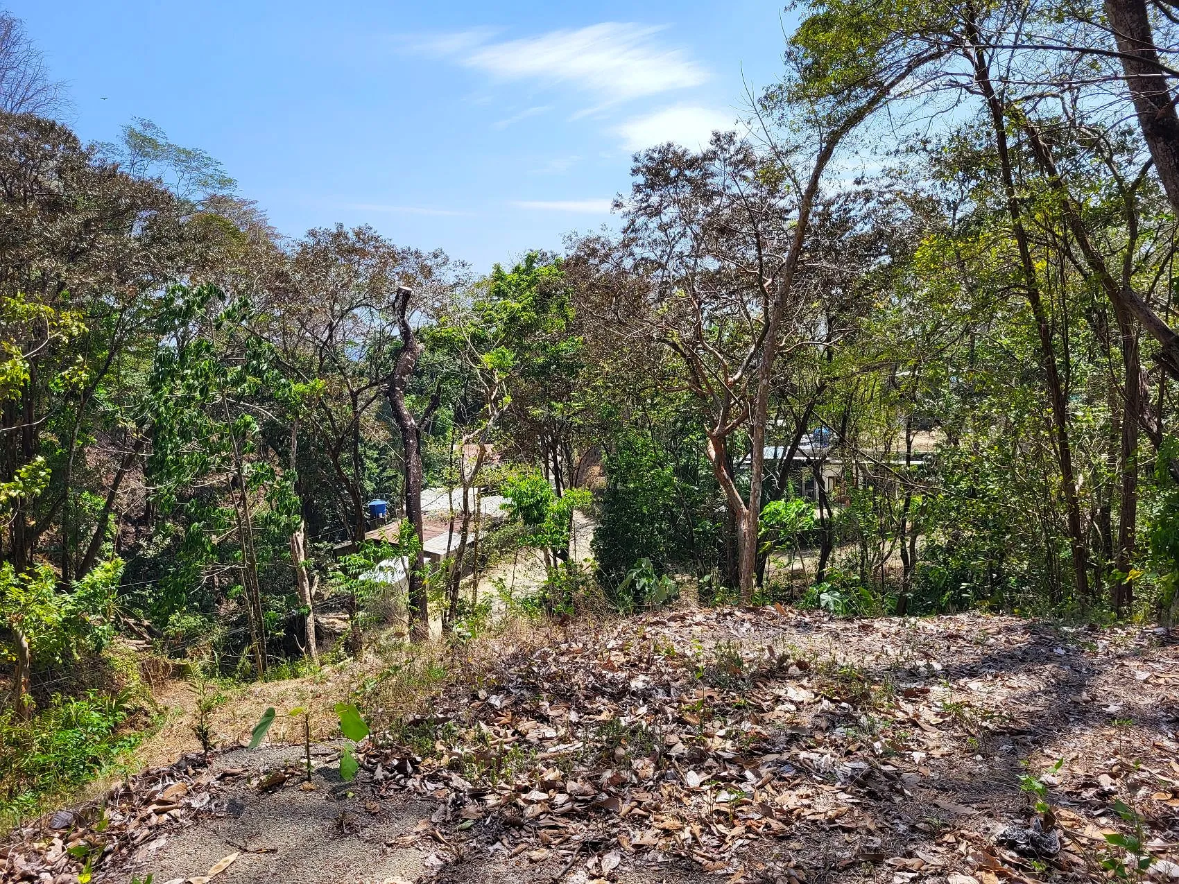 Prime Tropical Dream Lot For Sale - image 12
