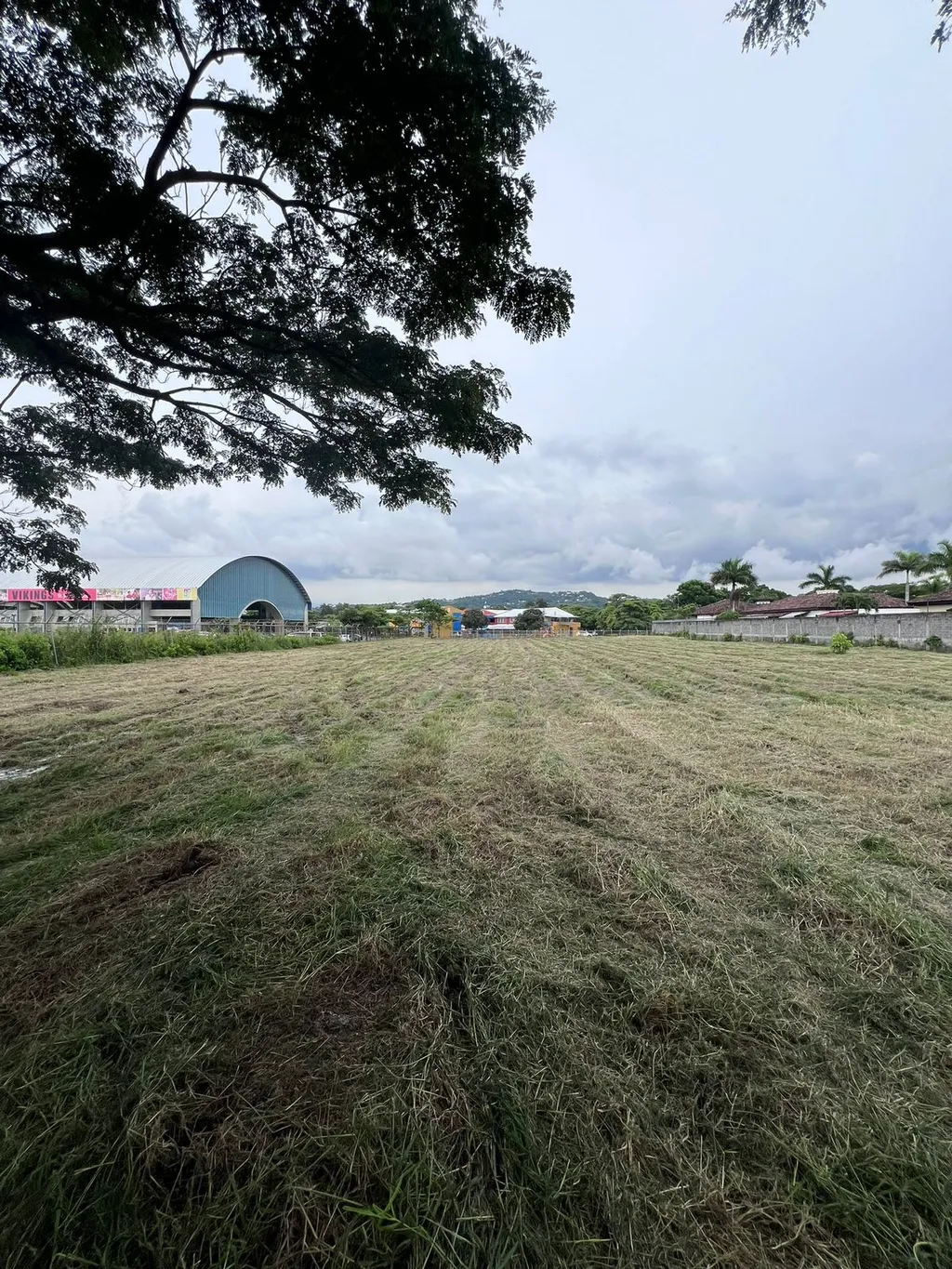  Lot in Lindora, Santa Ana - image 8