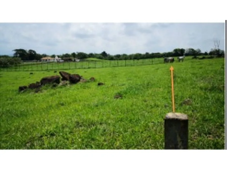 Lote plano en Turrucares - image 1