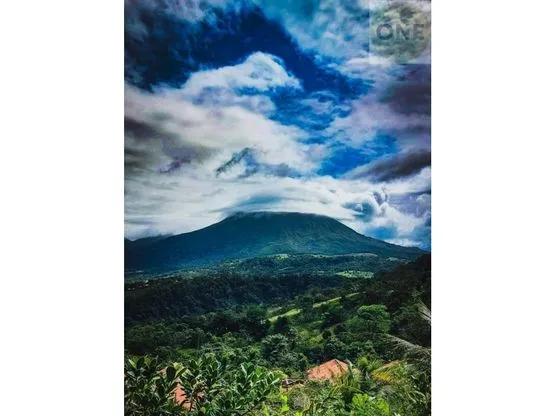 Tranquil Villa with Mountain Views in San Ramón, Costa Rica - image 5