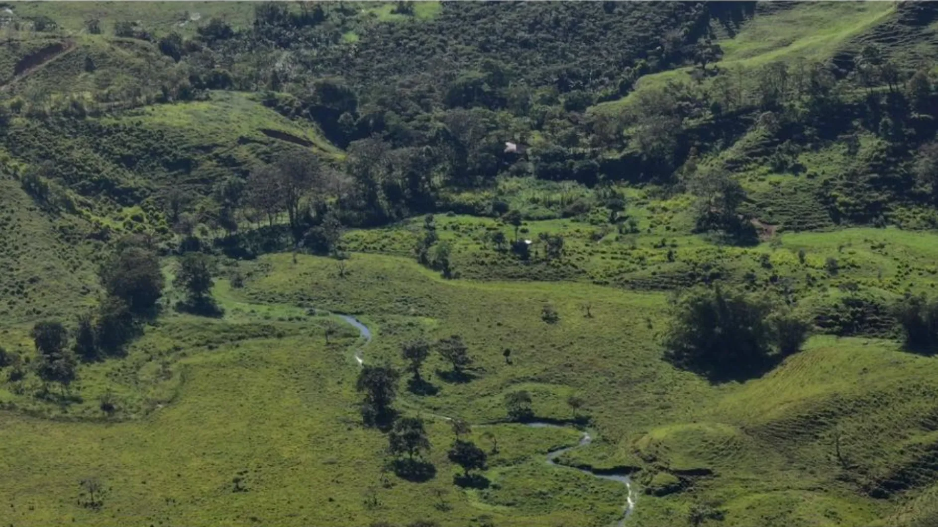 PARADISIACAL 335 ACRES PROPERTY WITH OCEAN VIEW TO UVITA, PUNTARENAS - image 12