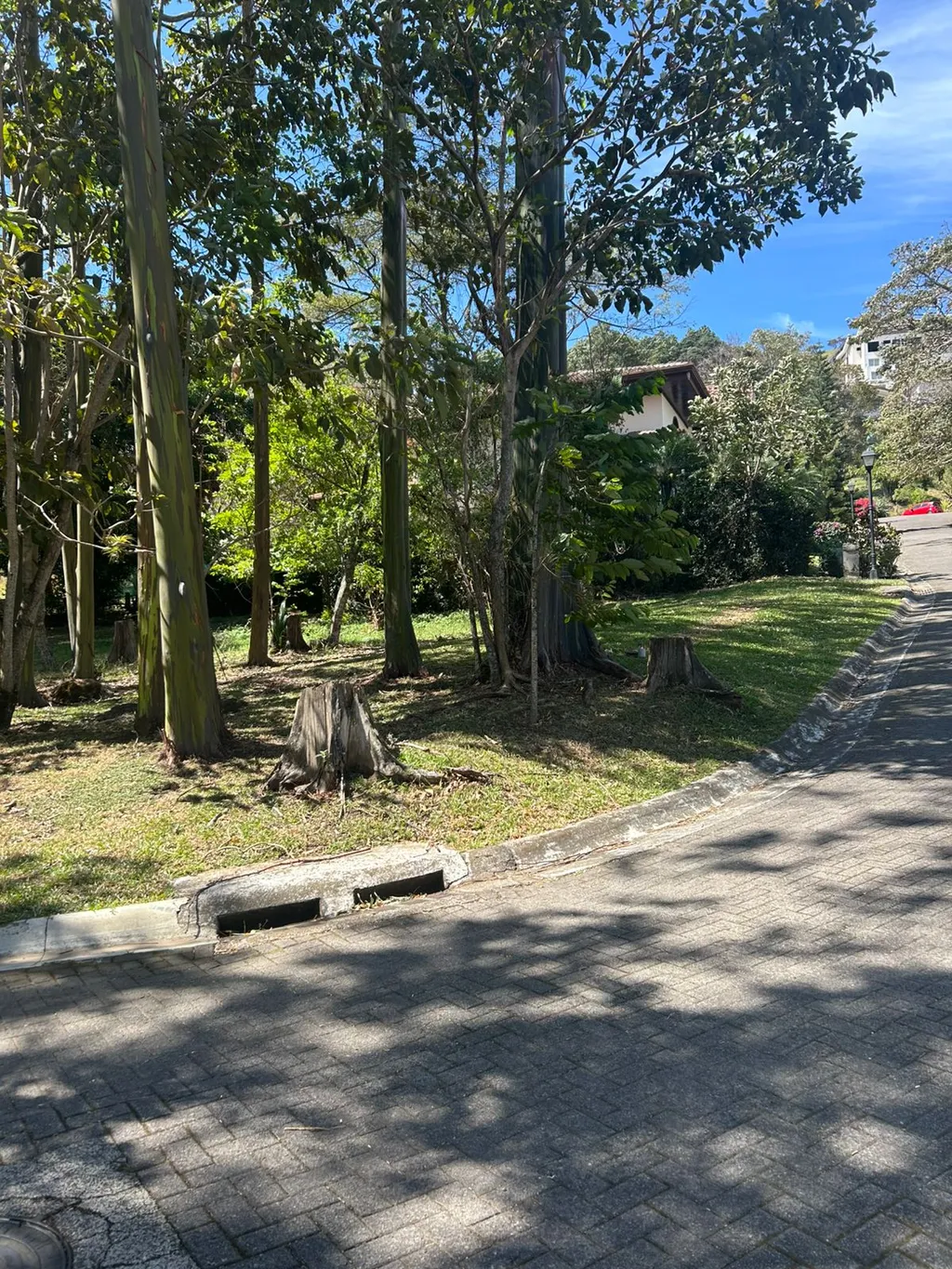 Lot for Sale in Exclusive Condominium, Guachipelín, Escazú - image 6