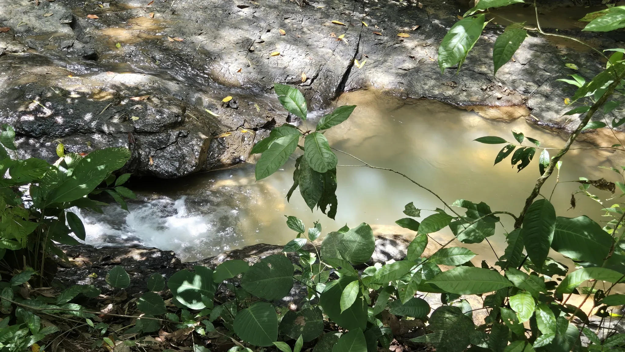 Conveniently Located Property at Playa Hermosa in Uvita, Costa Rica - image 14