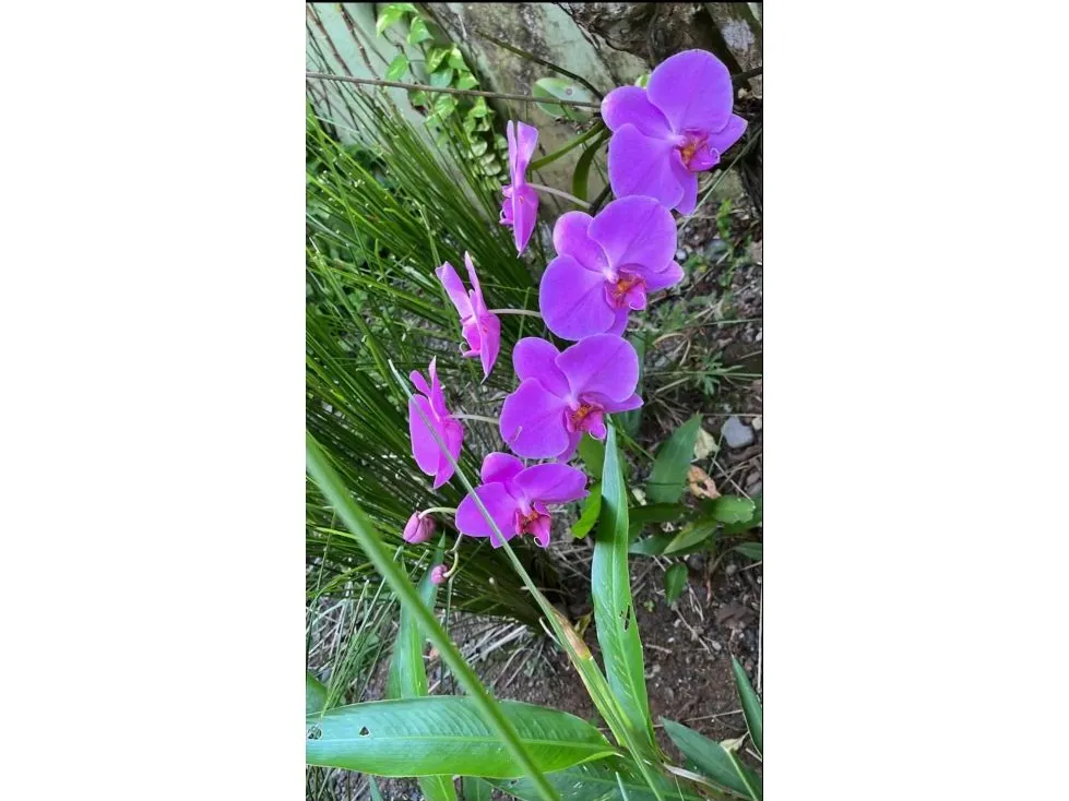 Charming 3-Bedroom House With An Incredible Pool - image 5