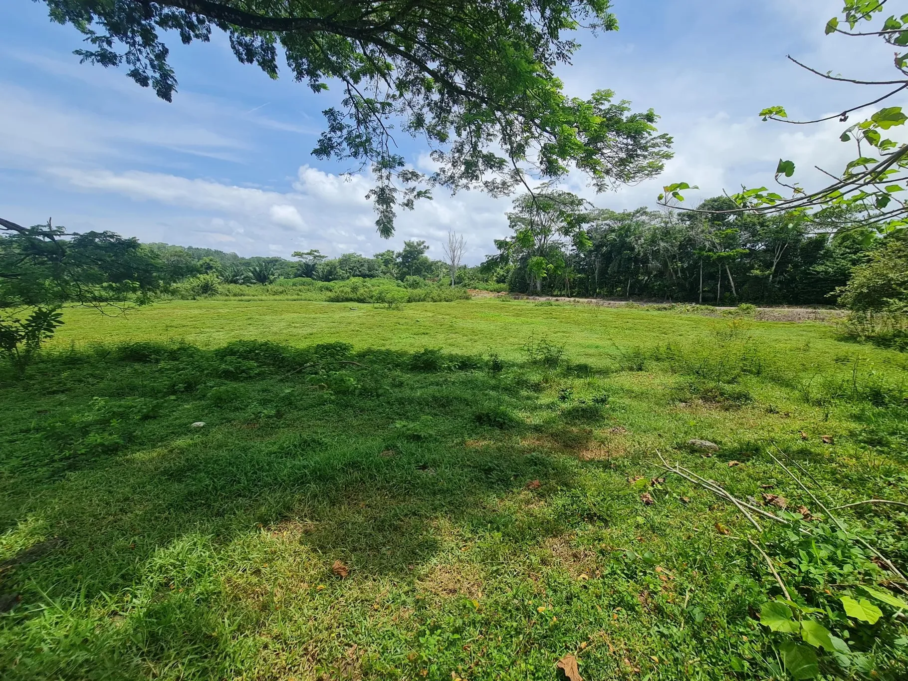 Farm for sale in Bejuco - image 2