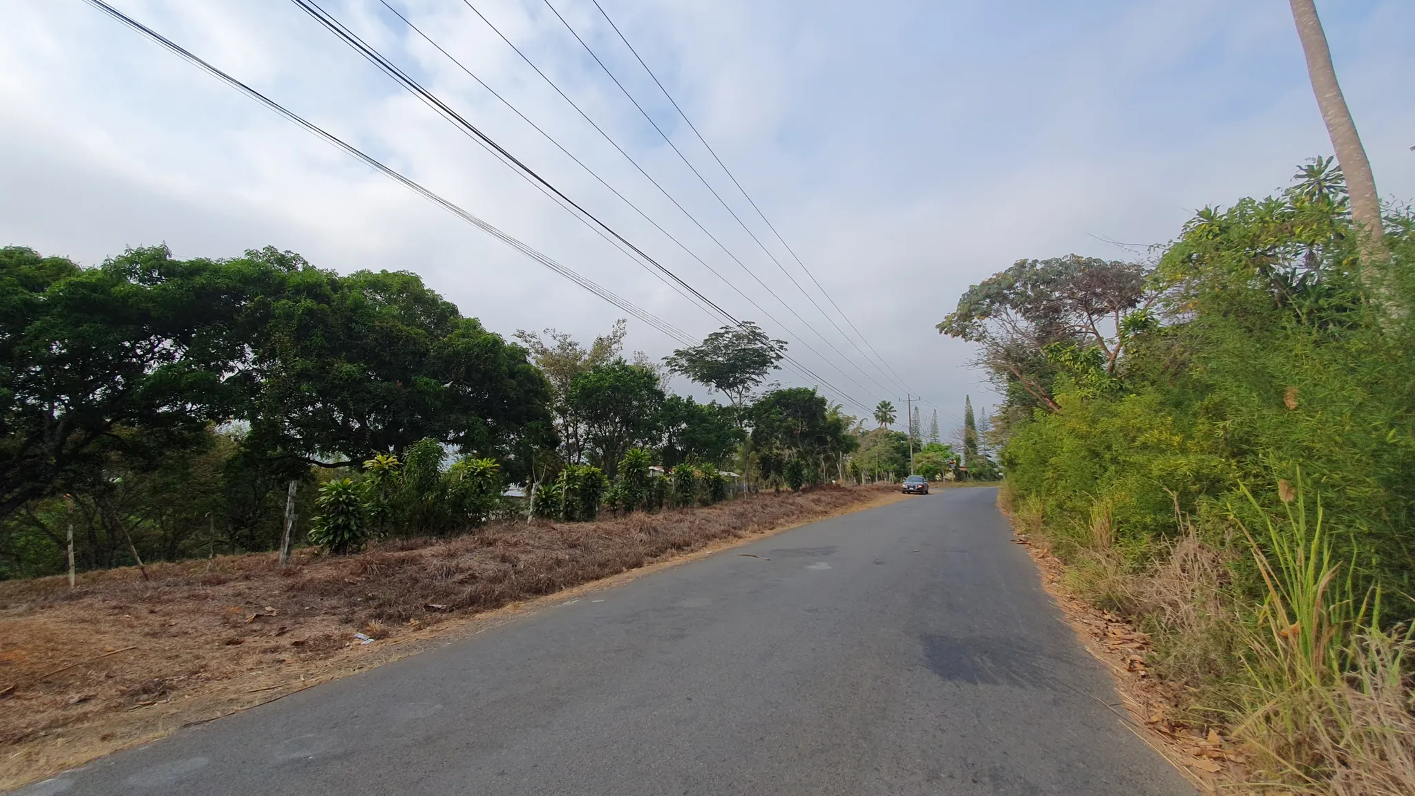 FRUIT TREE PROPERTY IN PEREZ ZELEDON, COSTA RICA - image 6