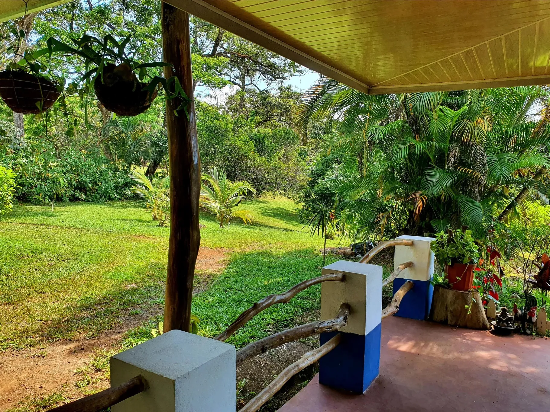 Land to develop a country lifestyle! - image 4