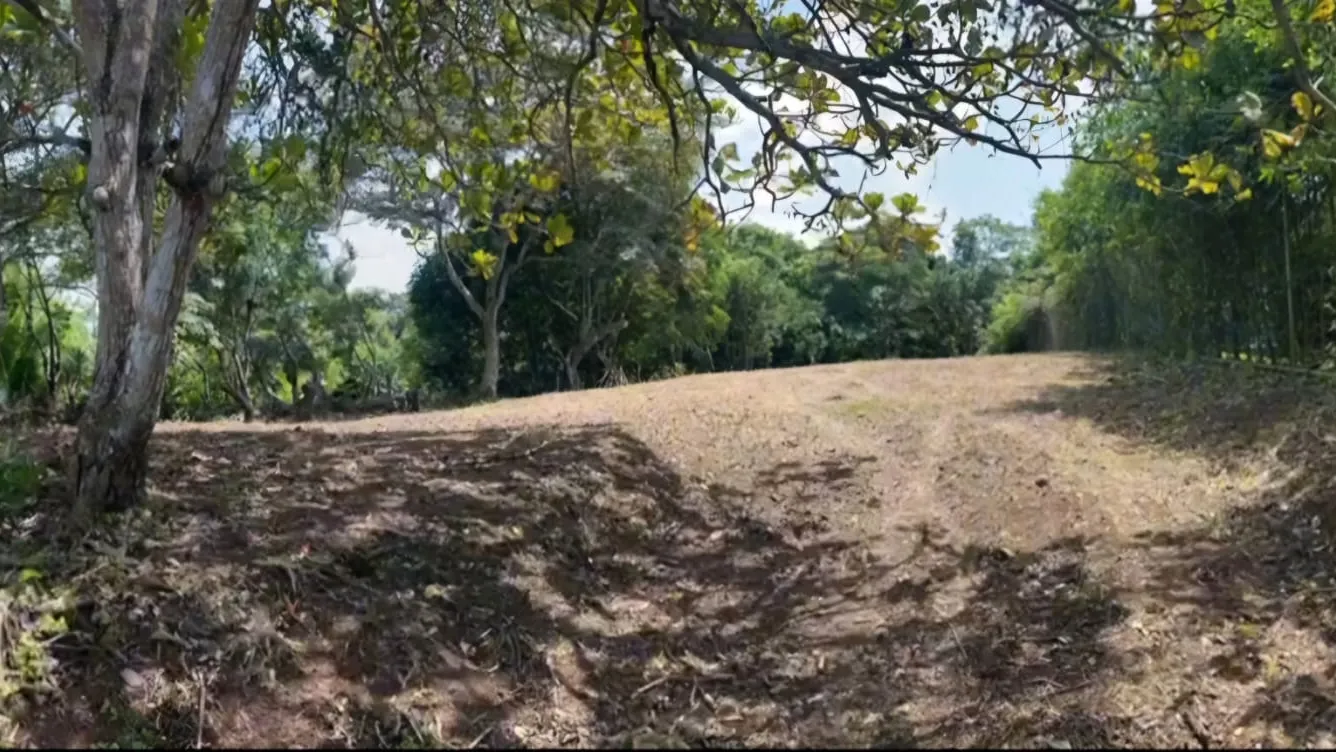 Orotina Lot with Financing Available - image 6