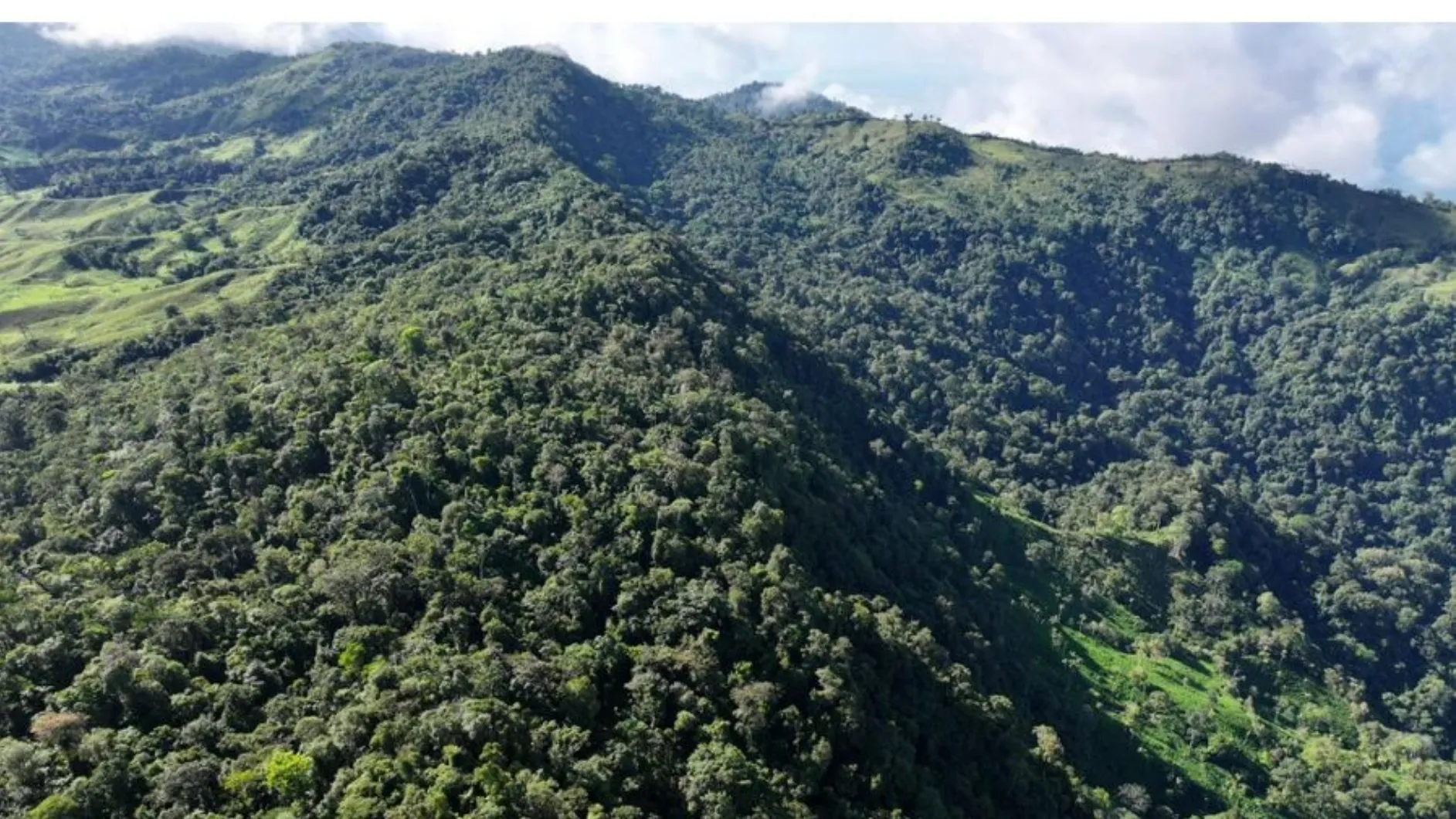 PARADISIACAL 335 ACRES PROPERTY WITH OCEAN VIEW TO UVITA, PUNTARENAS - image 2