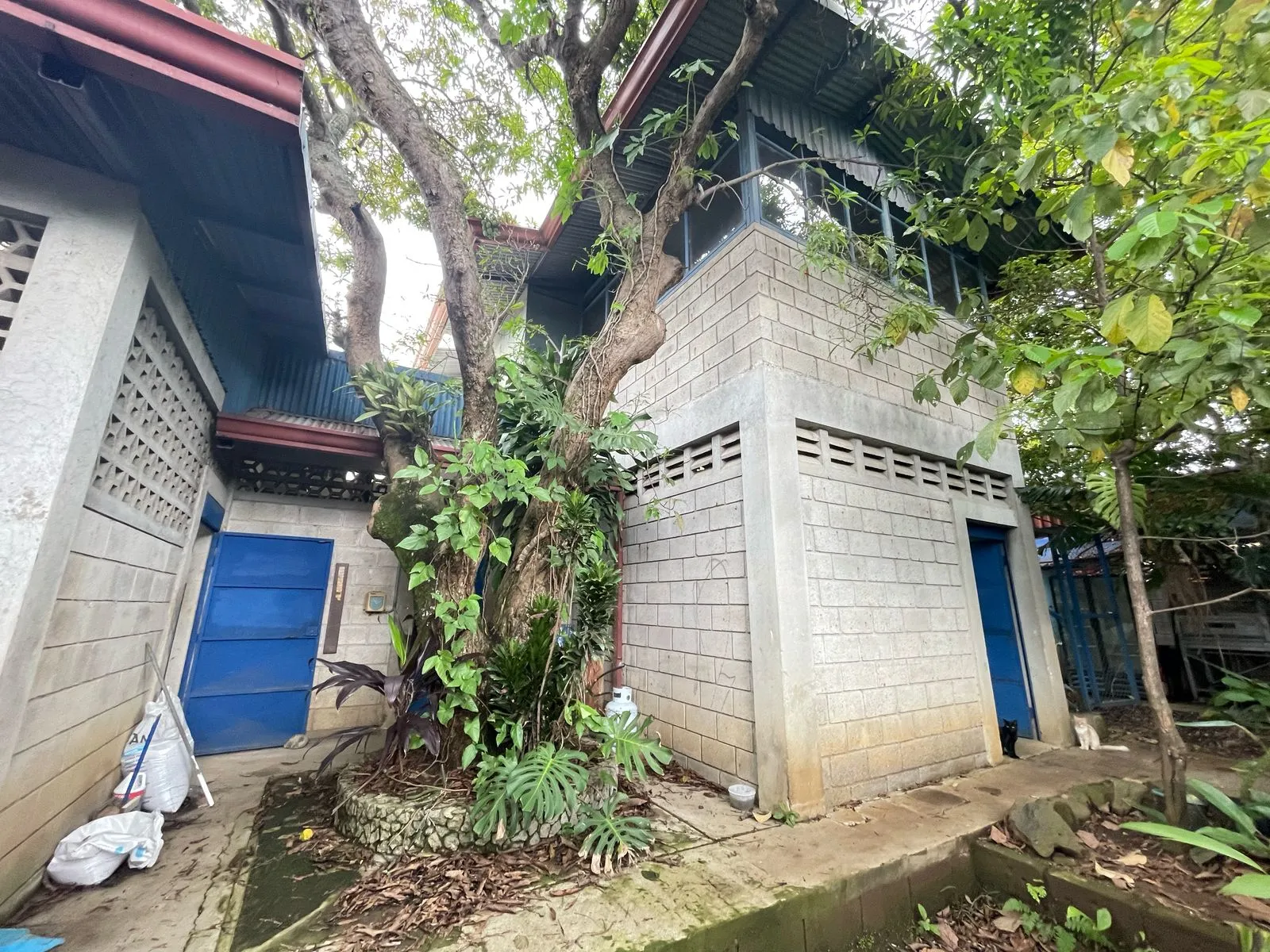 Warehouse and Mixed-Use Property for Sale in Desamparados - image 7