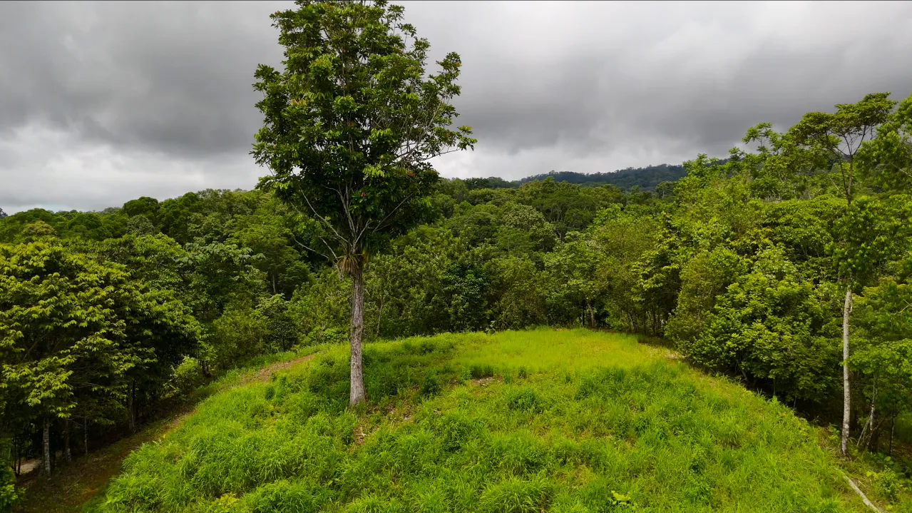 GULF VIEW PROPERTY IN PUERTO JIMENEZ, COSTA RICA - image 14