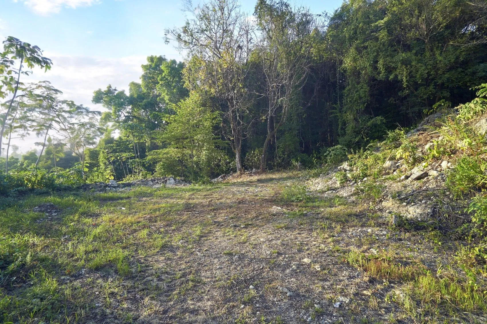 Ocean View Property for Sale in Santa Teresa, Costa Rica - image 6