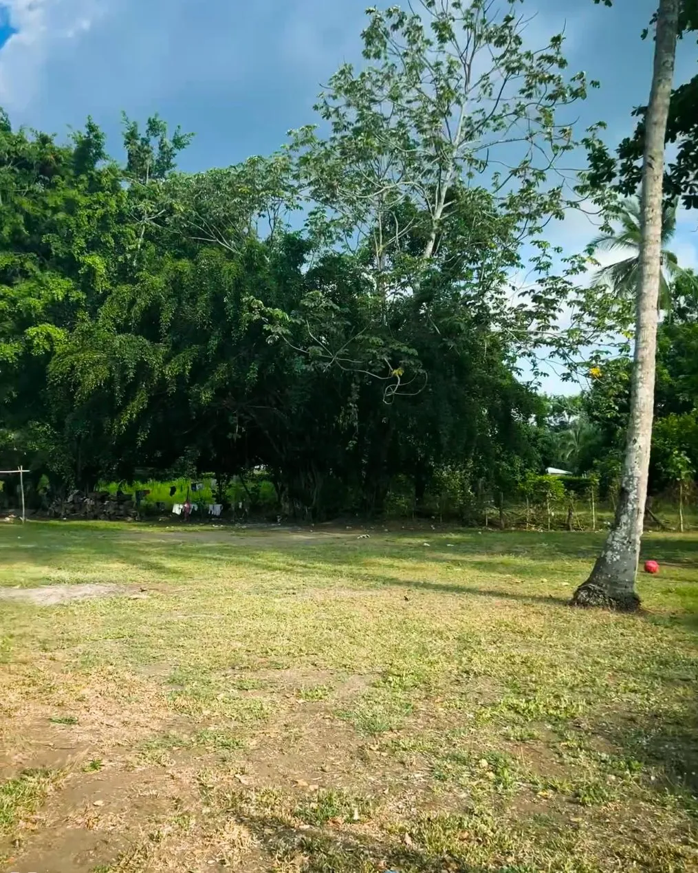 EXCLUSIVE OPPORTUNITY IN PLAYA AZUL: 7,658 m² LOT + 3 HOUSES & POOL INCLUDED! - image 11