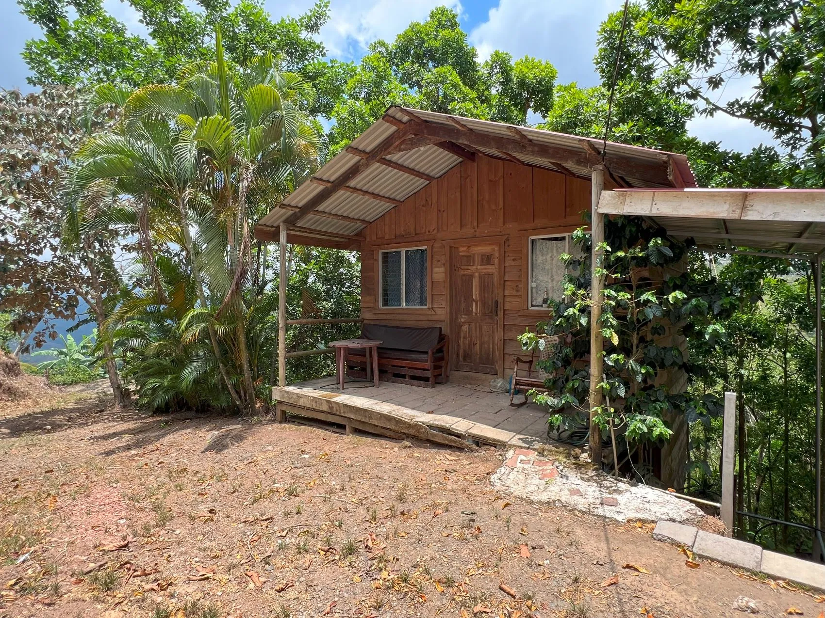 Coffe and fruit tree Finca in Puriscal - image 3