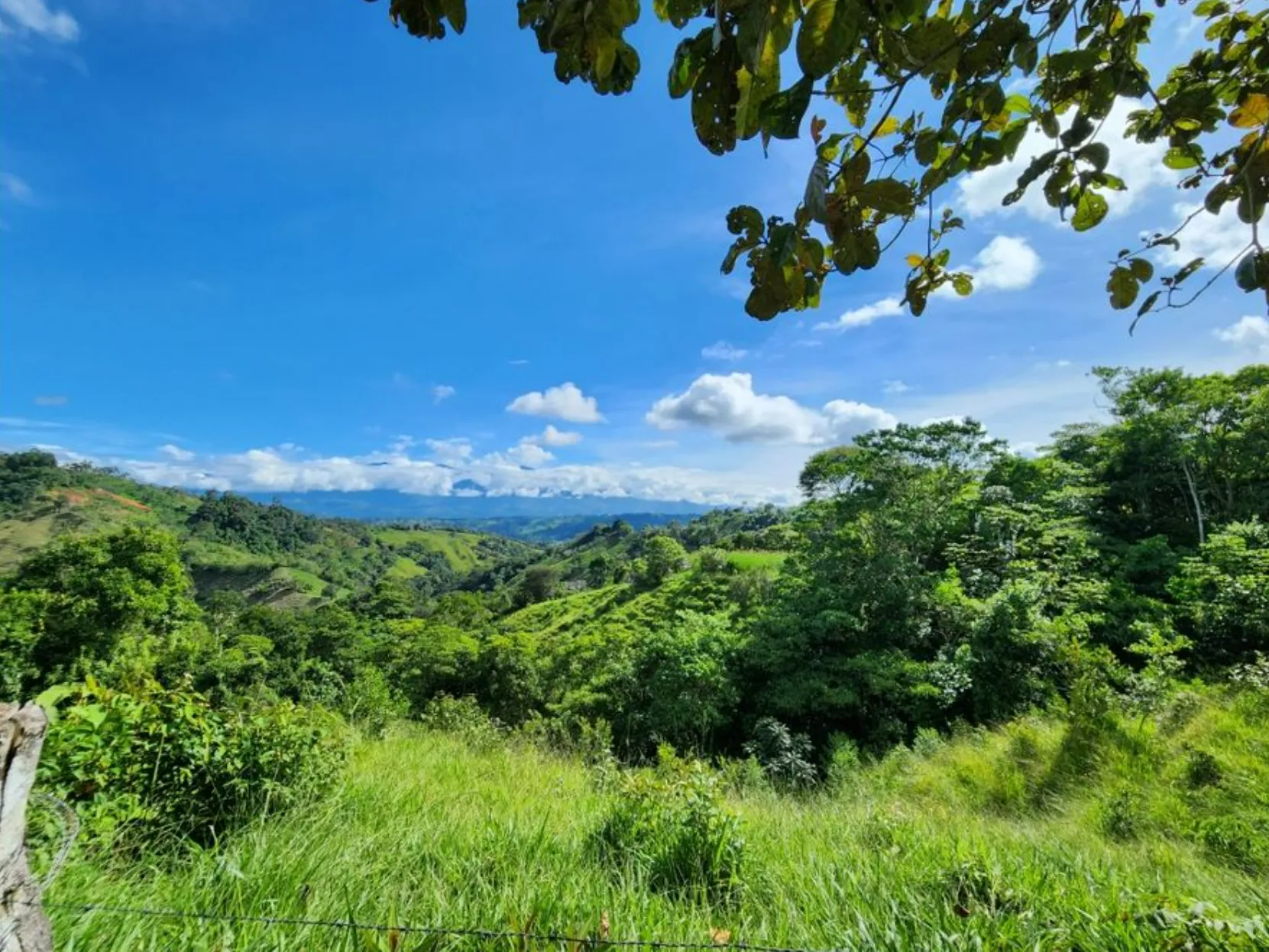 MOUNTAIN VIEW FARM & HOUSE IN PACUARITO, PEREZ ZELEDON - image 8
