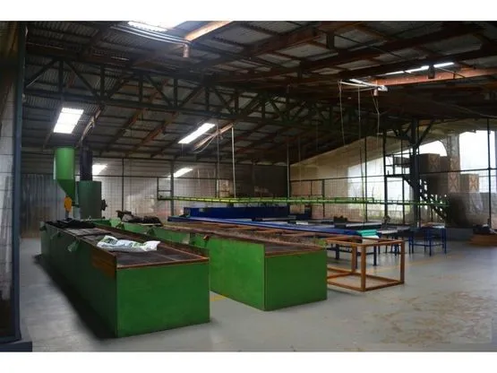 SE VENDE FINCA DE CACAO EN PRODUCCIÓN Y CRECIMIENTO - image 4