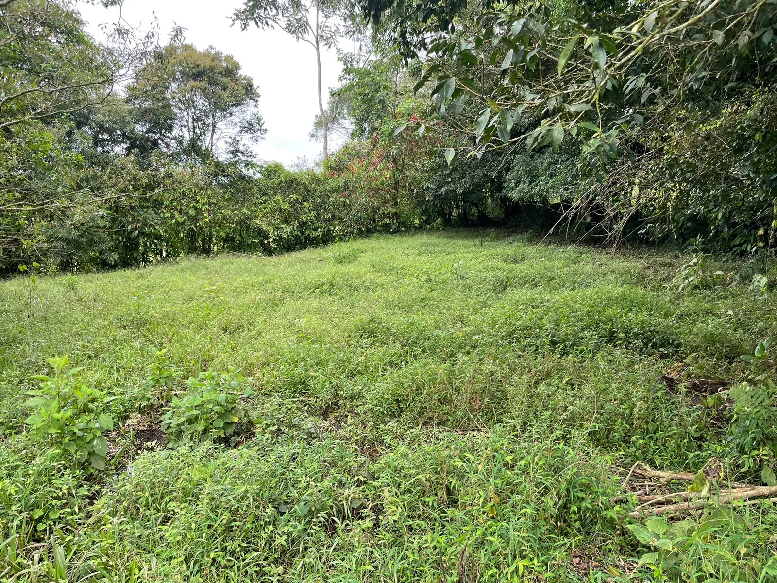 For Sale: Farm for development in Puriscal - image 7