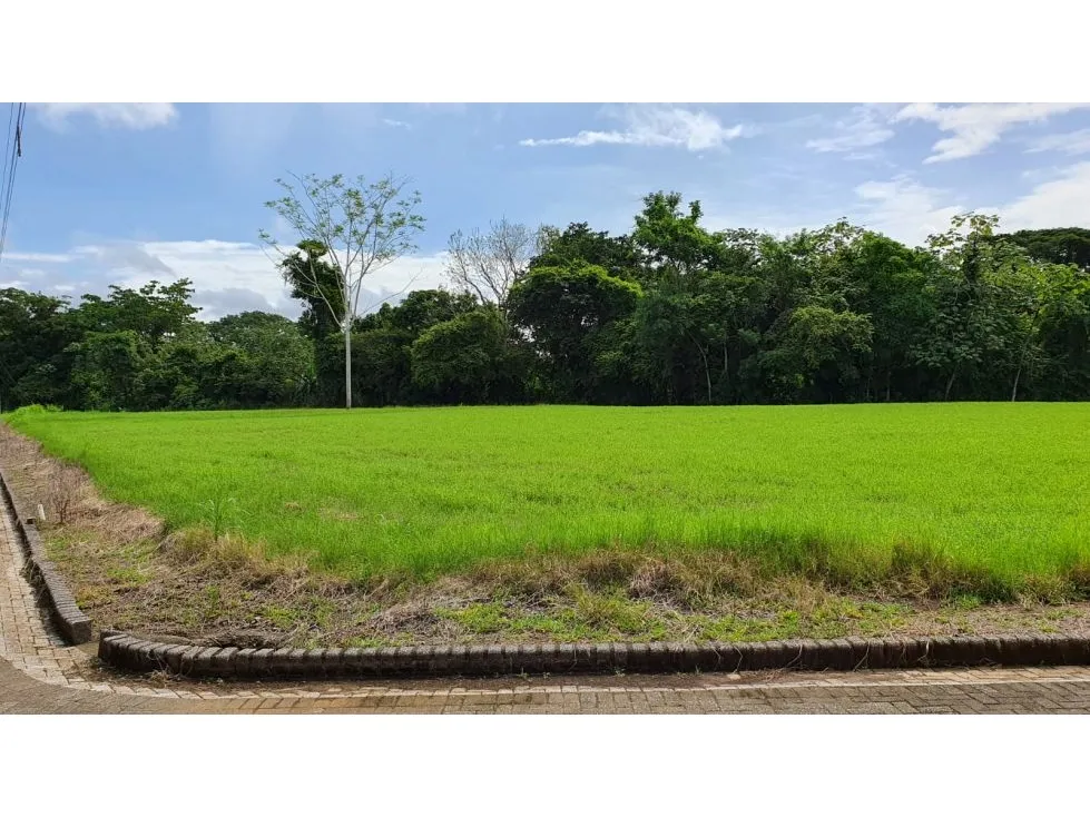 Spectacular 5062 mts Lot In A Private Community near Playa Hermosa - image 8