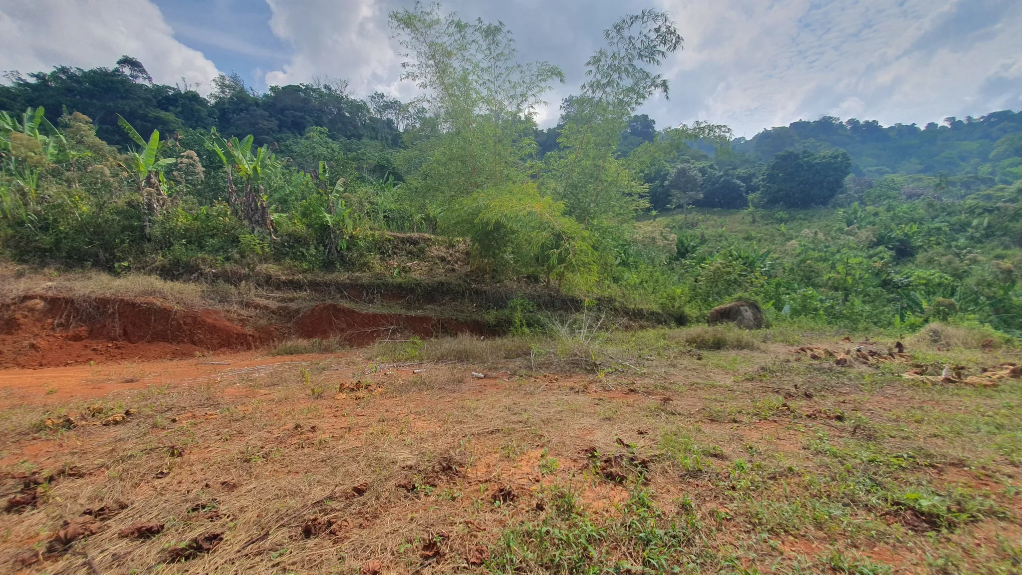PEACEFUL AND PRIVATE LAND IN PUNTA MALA, OJOCHAL - image 12