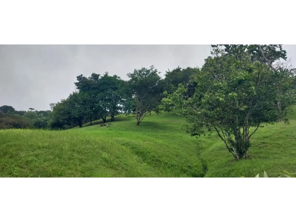 Practical home in Manuel Antonio - image 14