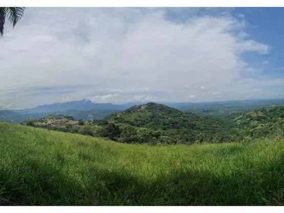 For sale: Developable land in Desmonte - image 5