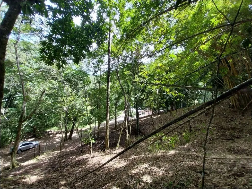  Property With Water Well And Solar Panel's System In Quebrada Seca (Jaco) - image 4