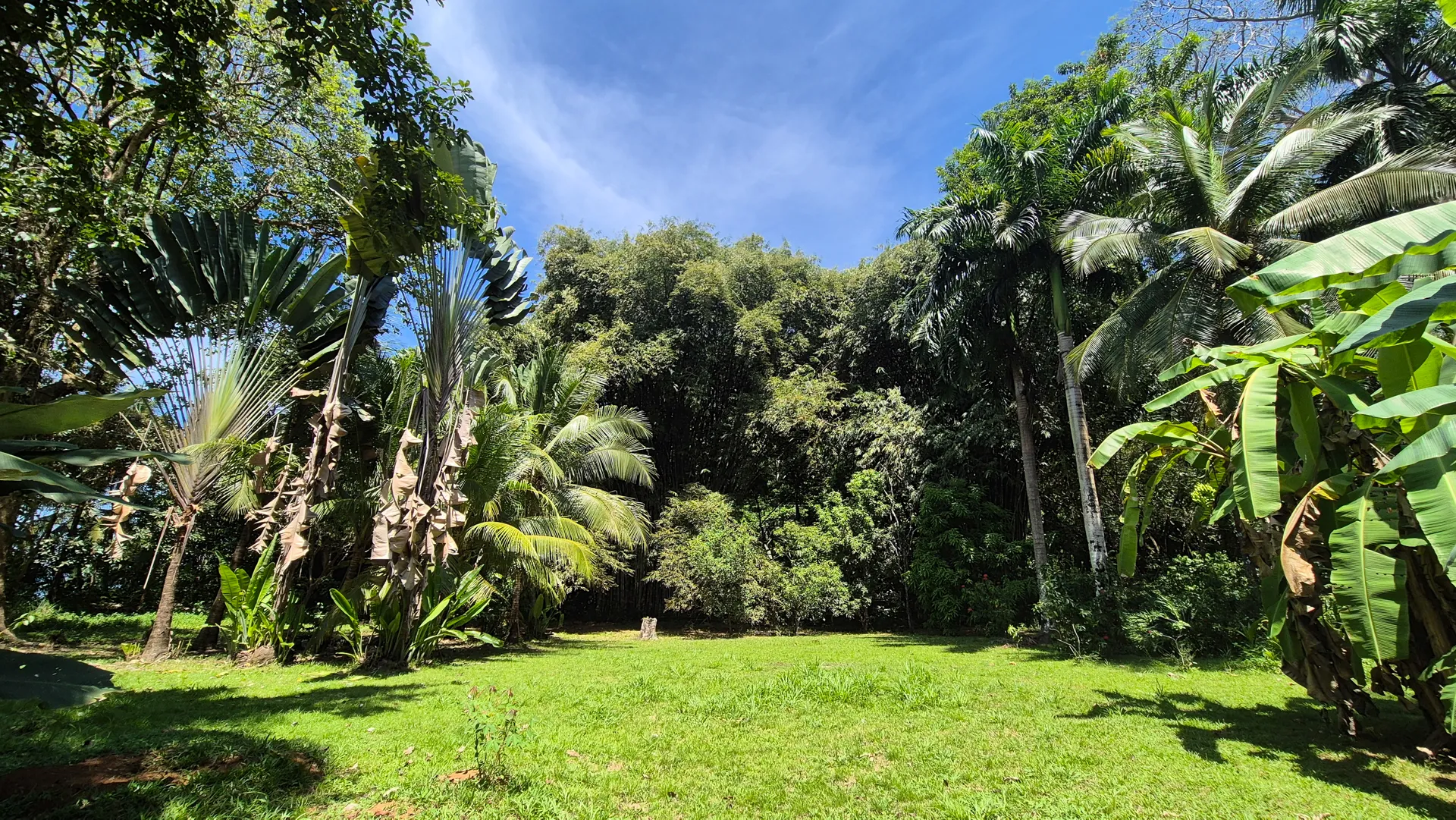 Dream Beachfront Property at Ballena Beach in Uvita, Costa Rica - image 12