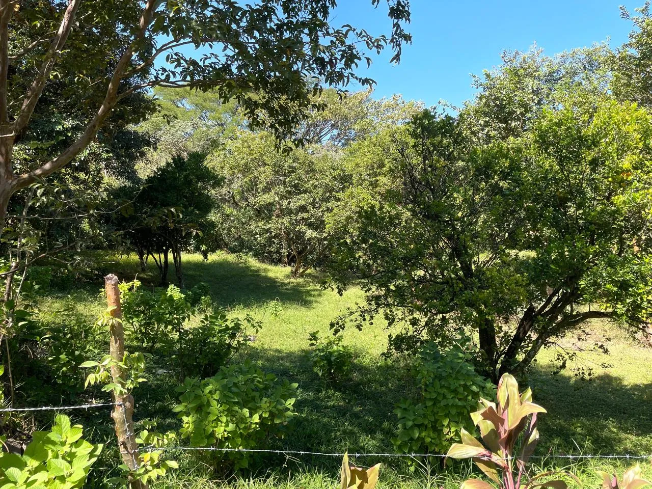 Sale / Impressive Lots (With Permission for Commercial Use), Ciudad Colon, San Jose - image 8