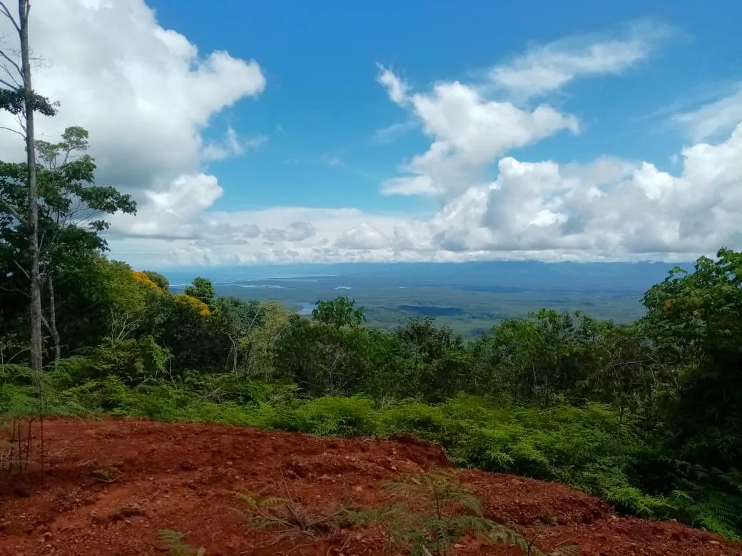 CONSERVATION AND DEVELOPMENT LAND WITH OCEAN VIEW IN SIERPE, COSTA RICA - image 1