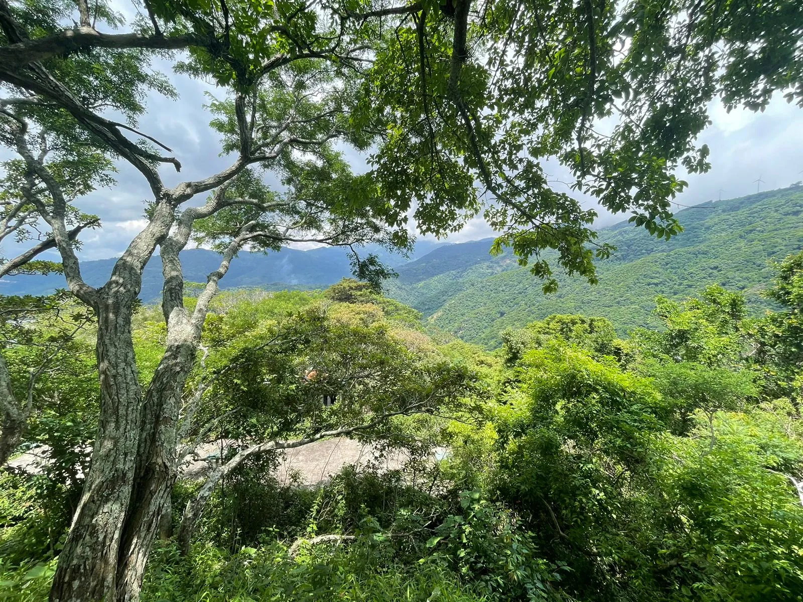 Lots for sale in Santa Ana Mountains - image 4