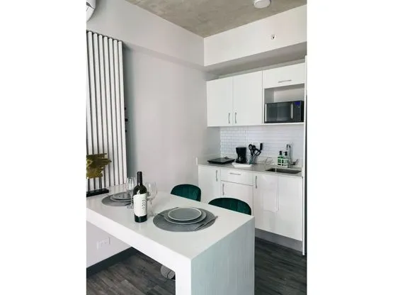 Rent / Amazing Apartament in SECRT Condominium, Sabana Sur, San Jose  - image 9