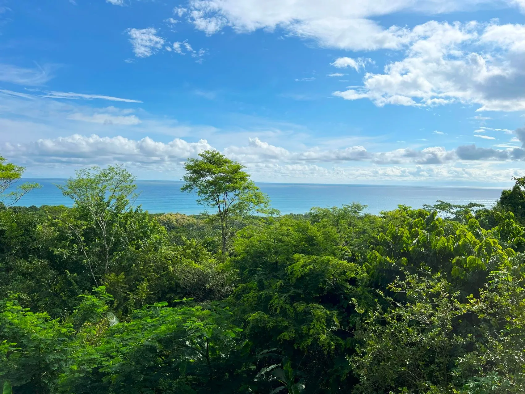 Casa Txakoli ocean view villa Mal Pais - image 3