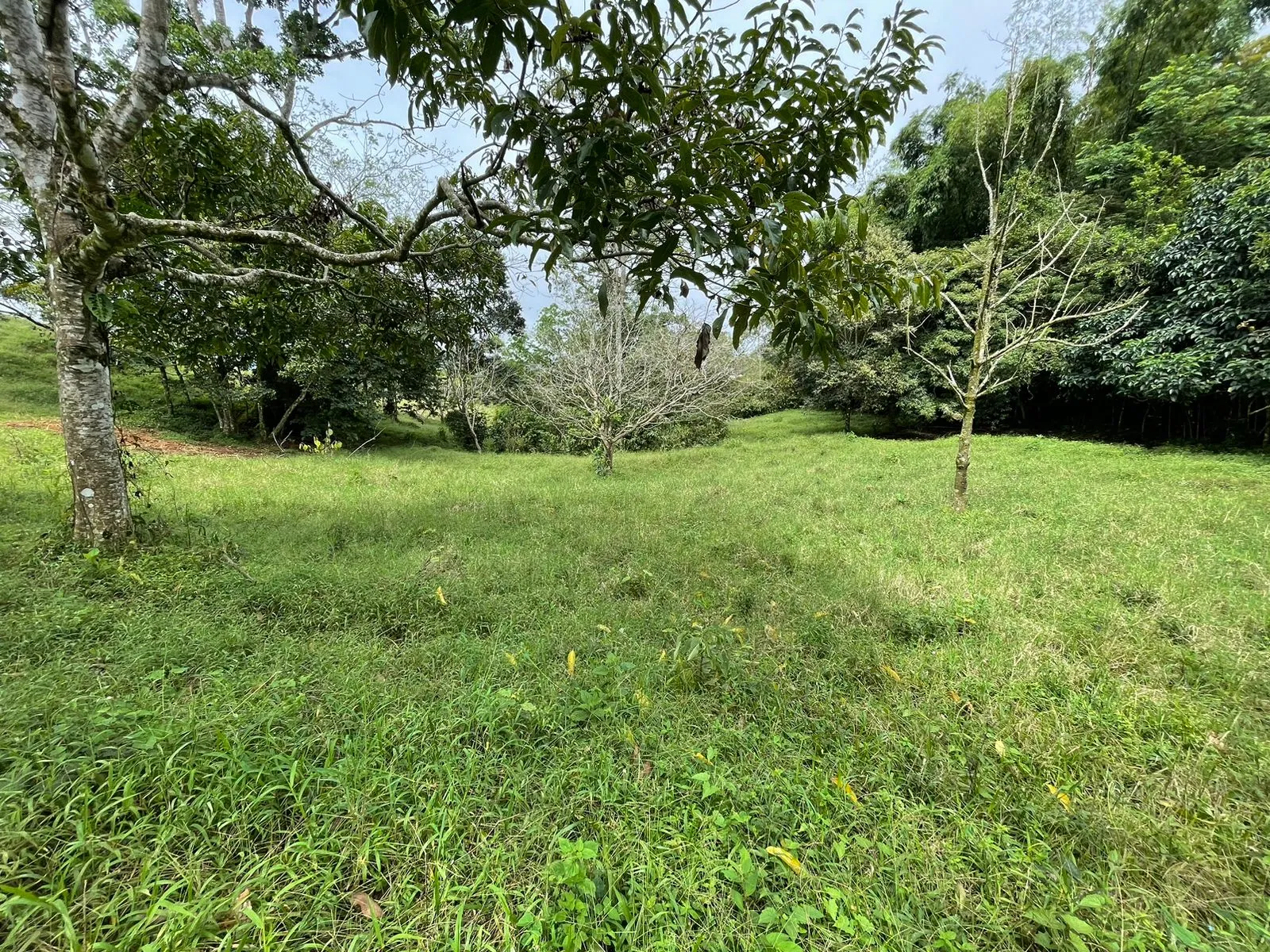 For Sale: Farm for development in Puriscal - image 6