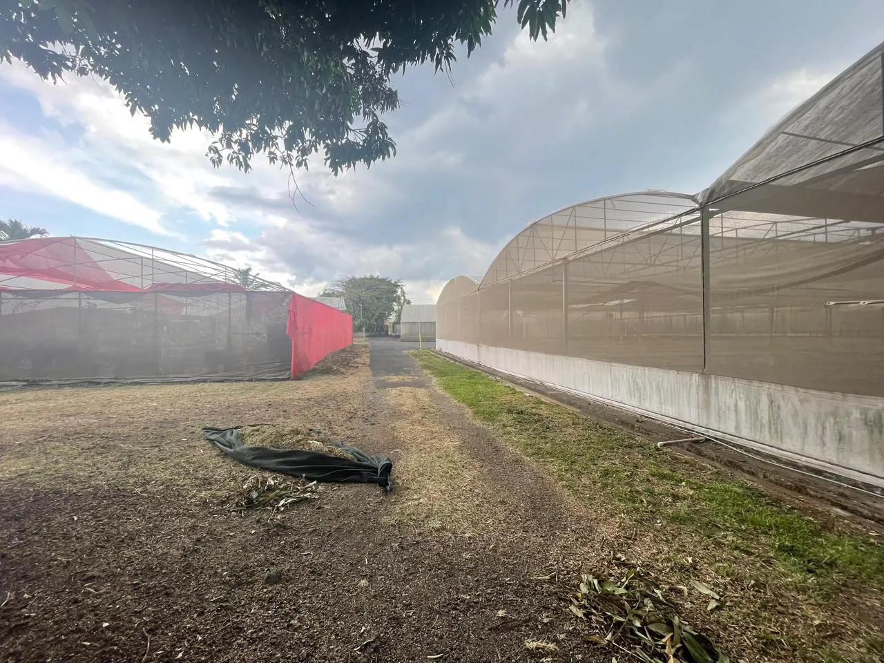 FOR SALE: Development LAND in La Guacima of Alajuela - image 7