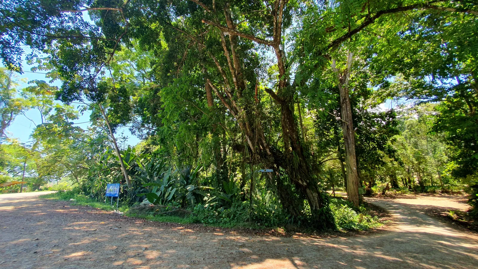 MULTIPURPOSE COMMERCIAL LAND IN OJOCHAL, COSTA RICA - image 7