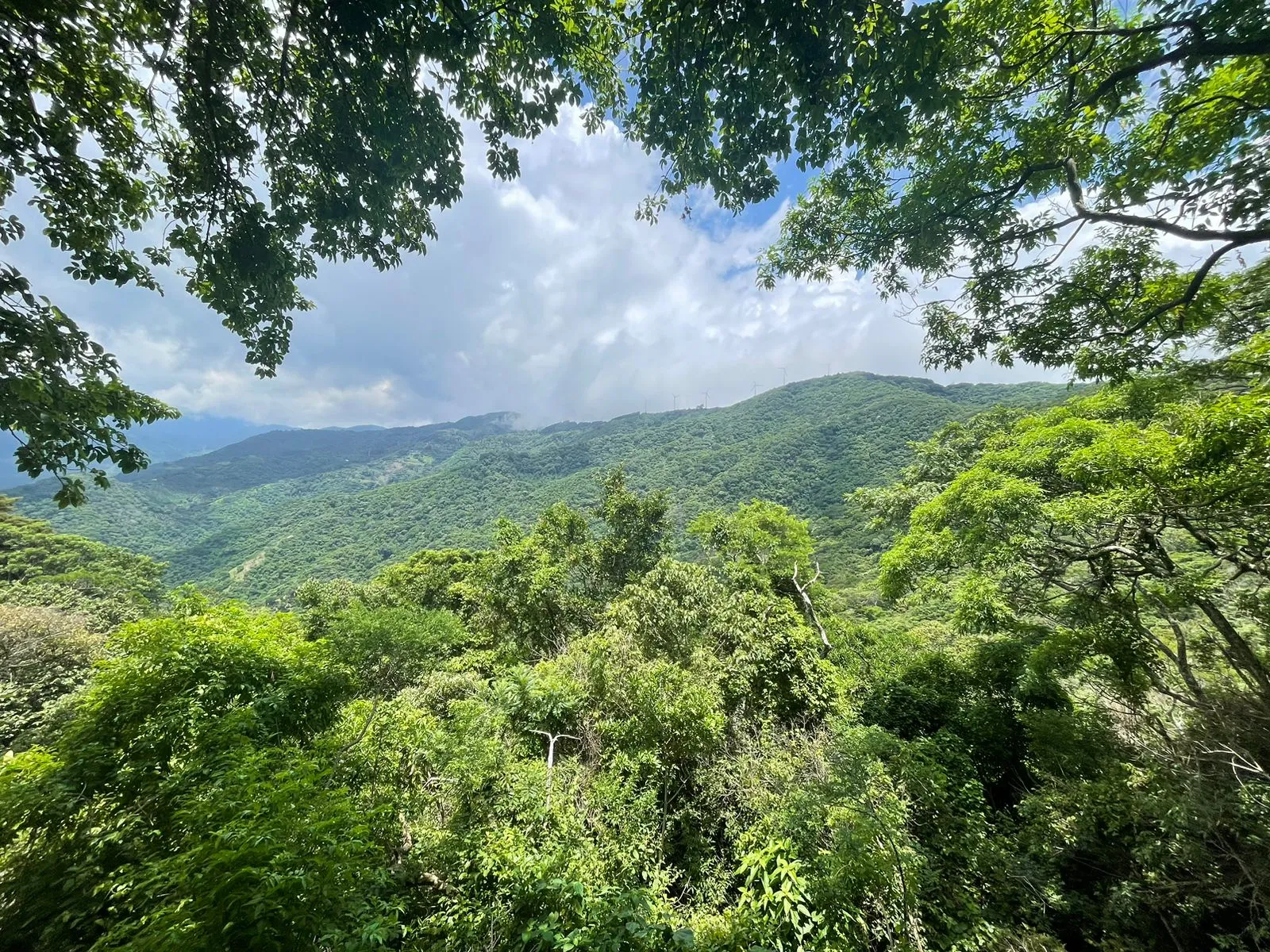 Lots for sale in Santa Ana Mountains - image 6