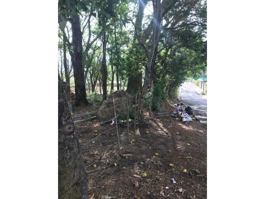 LOTE DE TERRENO, TERRENO SAN ANA SALITRAL - image 3