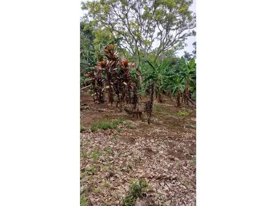 Lot for Sale in Santa Bárbara de Heredia - image 5