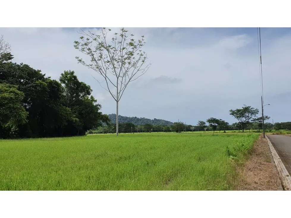 Spectacular 5062 mts Lot In A Private Community near Playa Hermosa - image 2