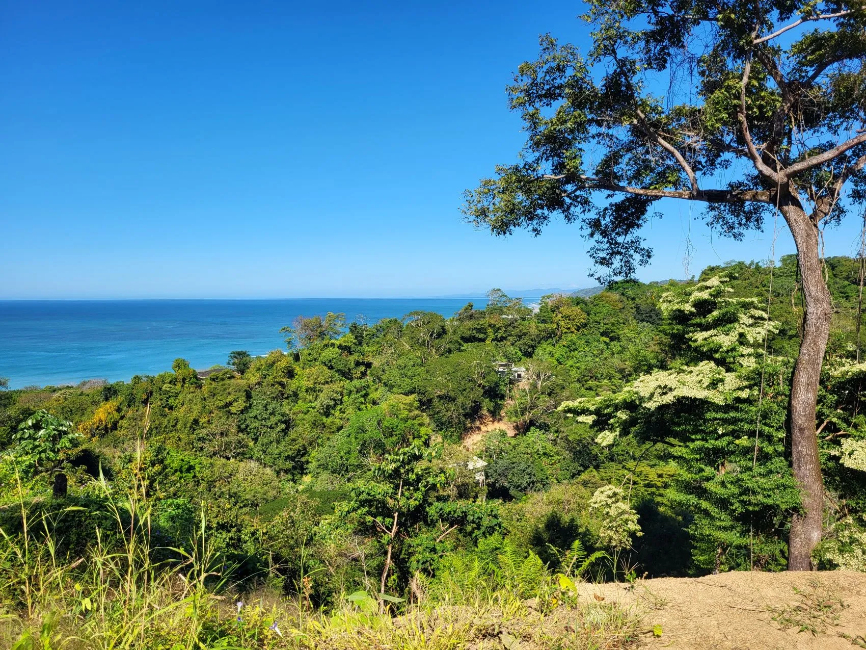 Beautiful 1.8 (18,000 m2) Hectare Mountainside Ocean View Lot in Mal Pais - image 4