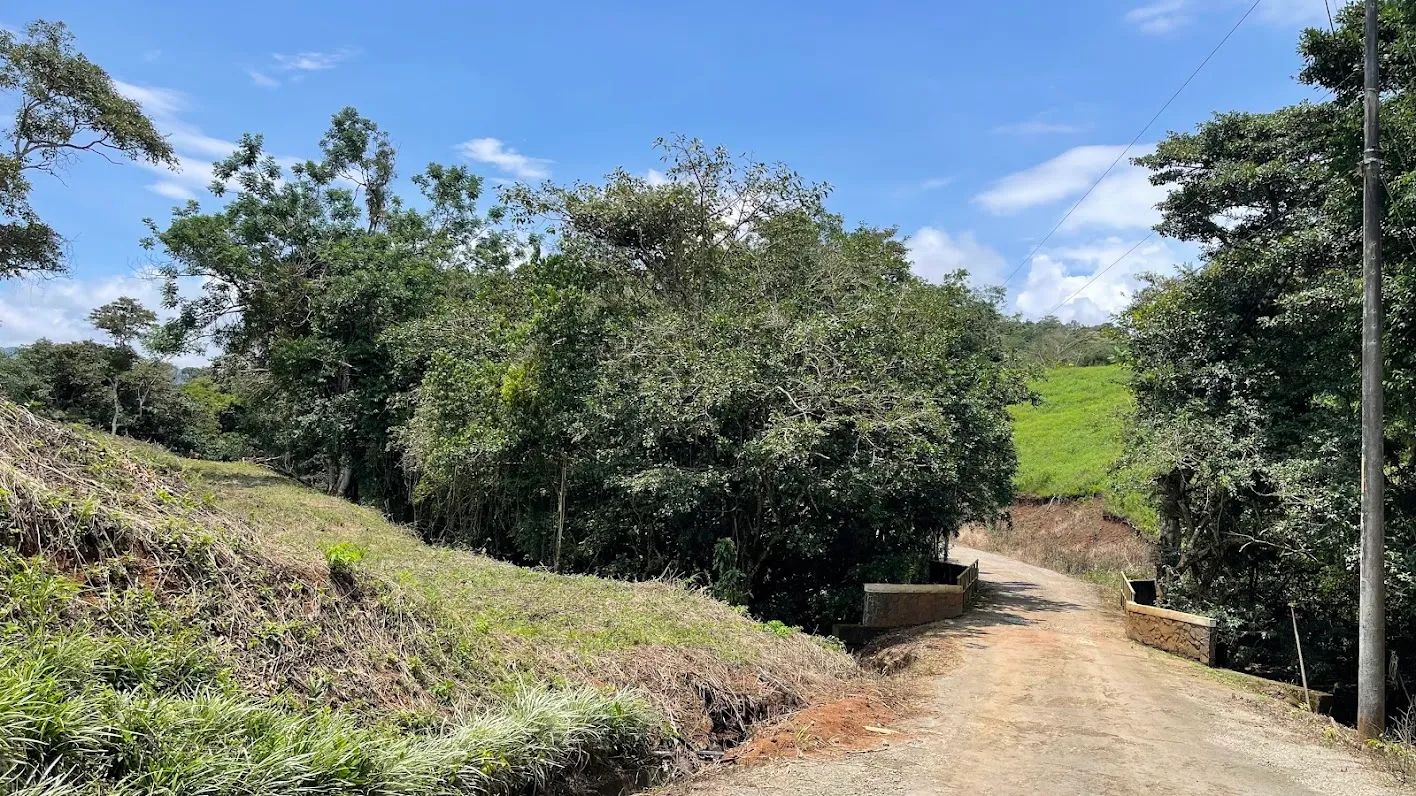 LOT FOR SALE IN SAN PEDRO, SAN RAMON - image 9