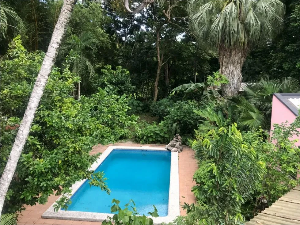 Beautiful House Surrounded By Nature. - image 15