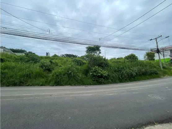 Lote Comercial Tournon Frente Ruta 32 - image 4